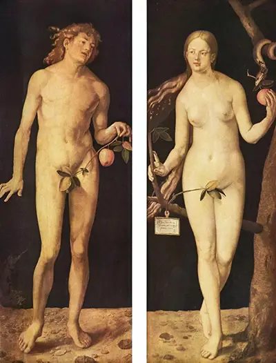 Adam und Evas Albrecht Durer